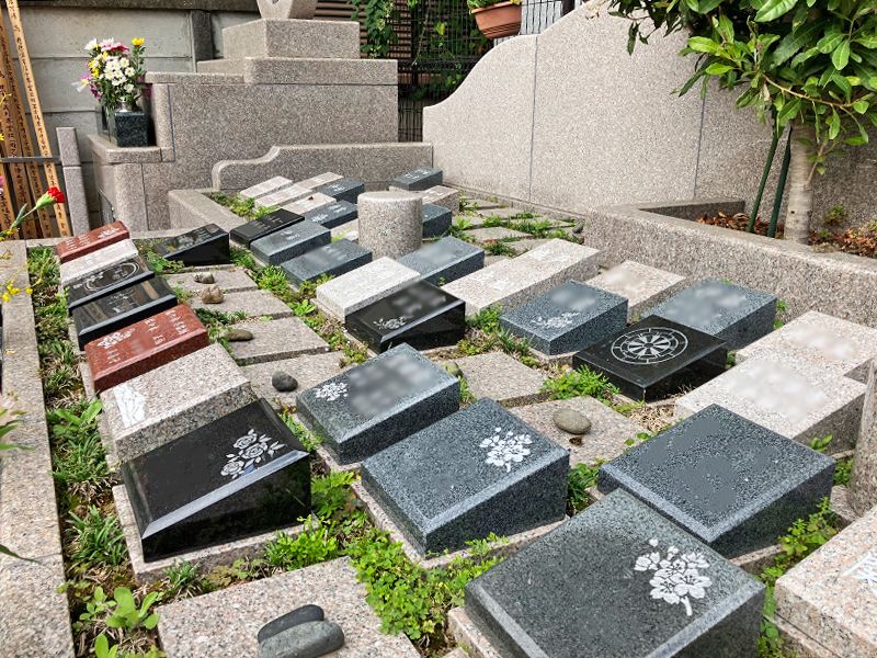 外苑こもれびの杜