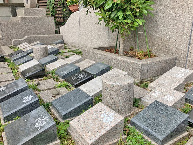 外苑こもれびの杜