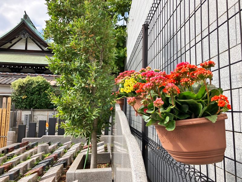 外苑こもれびの杜