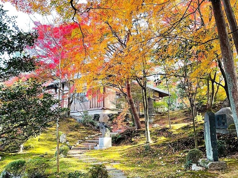 神秘的な美しさを醸し出す本堂前のお庭