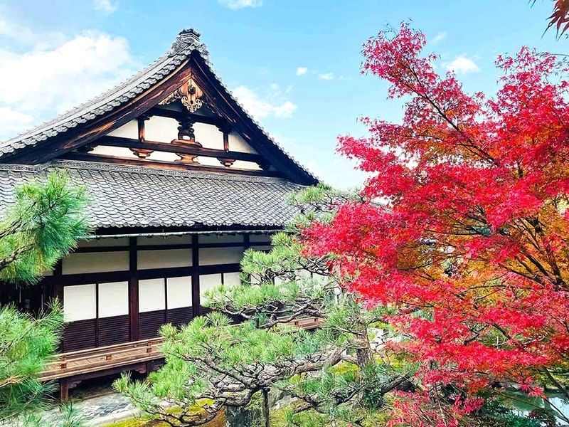 静けさに包まれて、紅葉が語りかける禅の庭