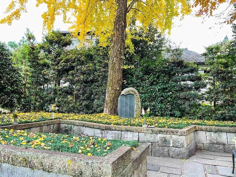 樹木葬　黄葉の季、光とともに眠るイチョウ区画