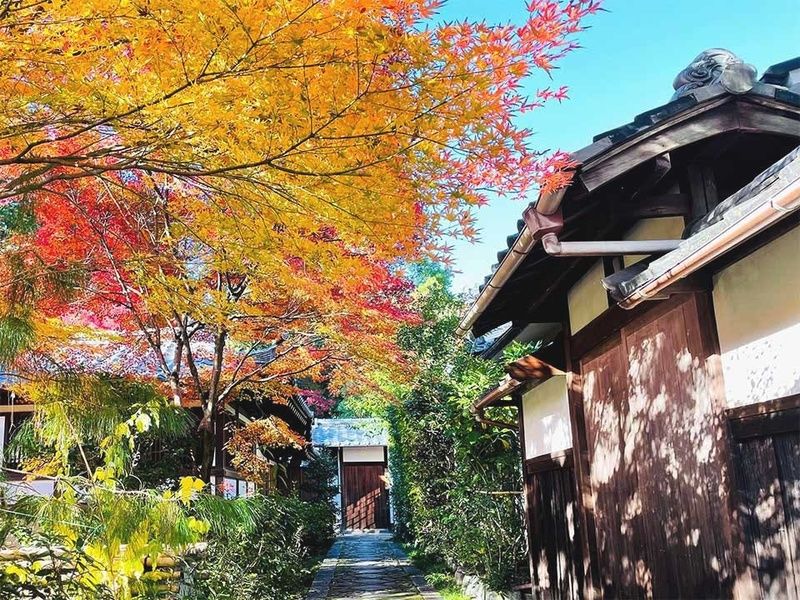 紅葉のトンネル