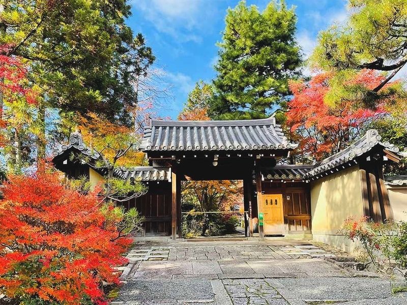 山門前の景観