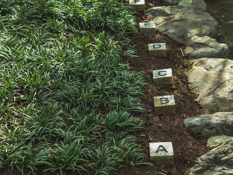 大徳寺塔頭 正受院