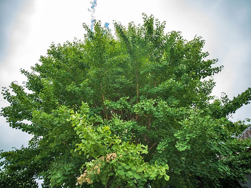 会津若松霊園 威徳院