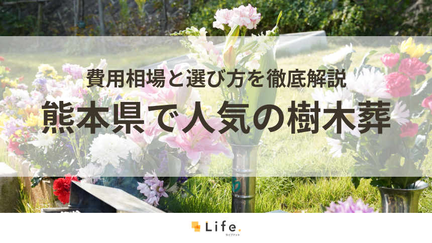 【解説付き】熊本県で人気の樹木葬5選!費用相場と選び方を徹底解説