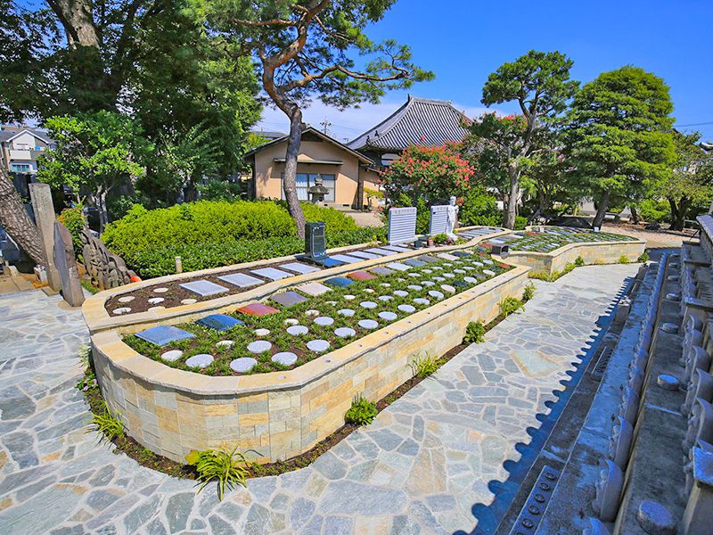 光照樹園全景 全景左