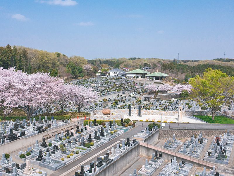 森林公園昭和浄苑：春にはきれいに桜が咲きます