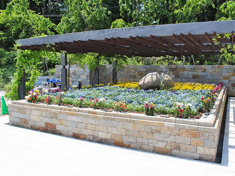 藤と桜のガーデン：永代供養付き、ペットと一緒に入れる区画もございます