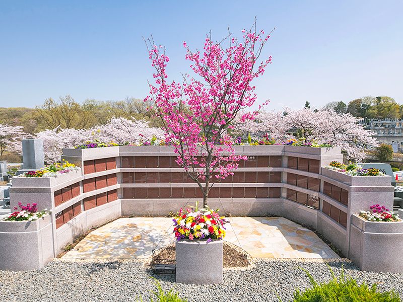 桜の納骨堂型樹木葬：骨壺のまま納骨できます、ペットと一緒に入れる