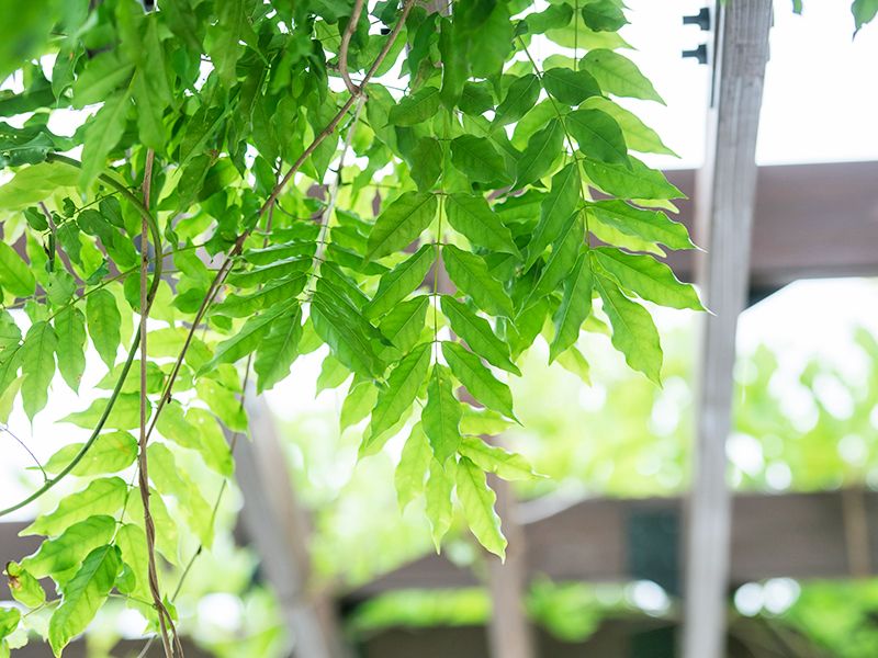 自然が多く、穏やかな気持ちでお参りができます