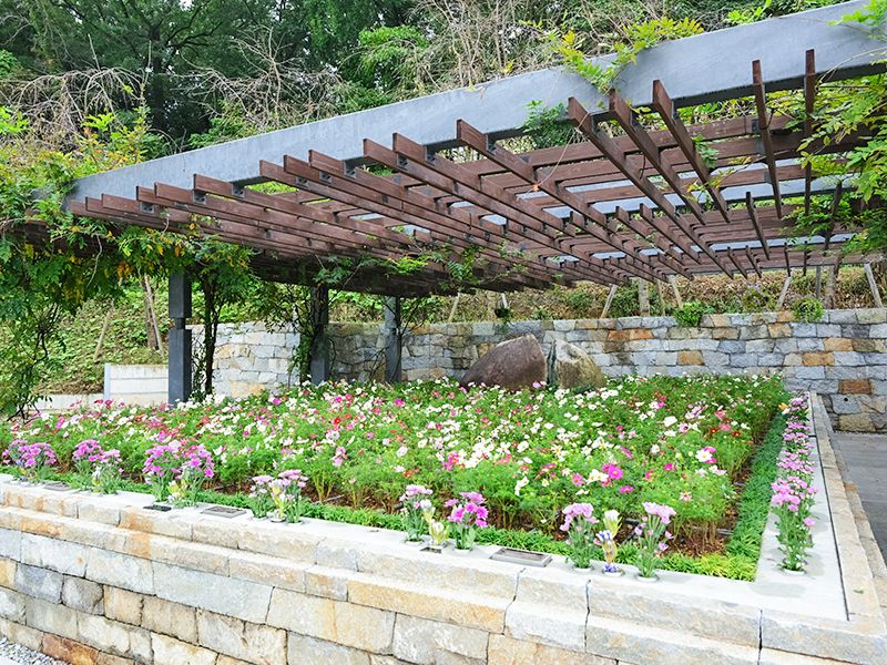 藤と桜のガーデン：永代供養付き、ペットと一緒に入れる区画もございます