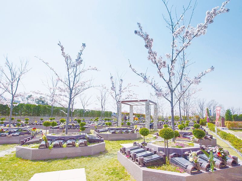 桜の木の下で眠る「樹木葬さくら」