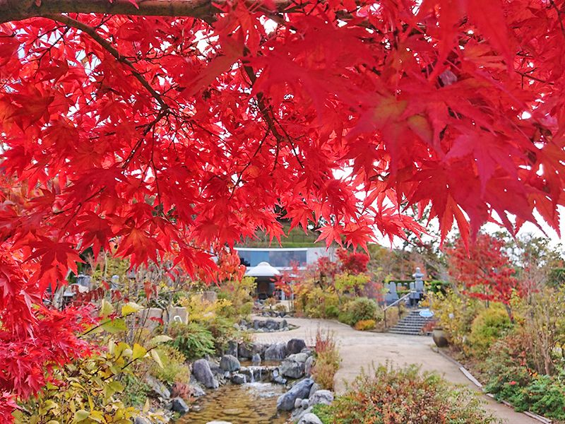 園内風景（紅葉の季節）