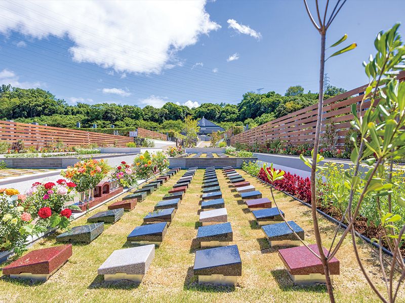 合祀されない樹木葬「永遠」