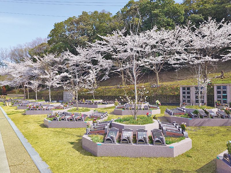 園内風景（桜の季節）