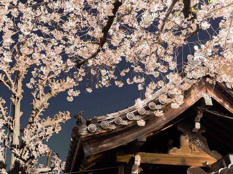 興徳寺