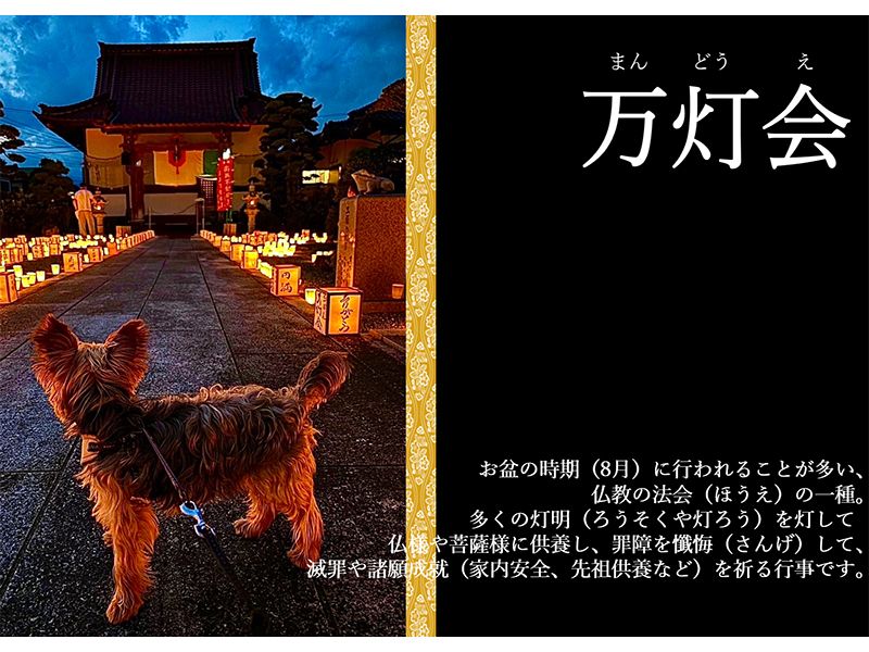 お盆の時期には「万灯会」が催されます