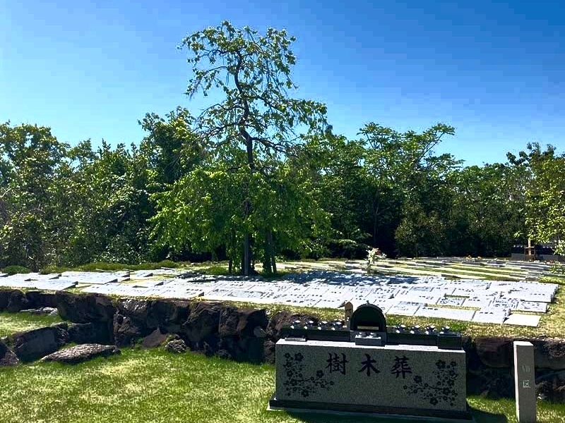 松島樹木葬