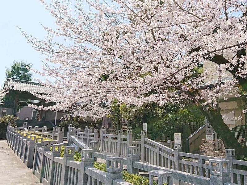 港区高輪 泉岳寺
