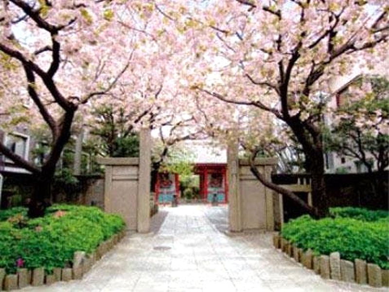 養福寺