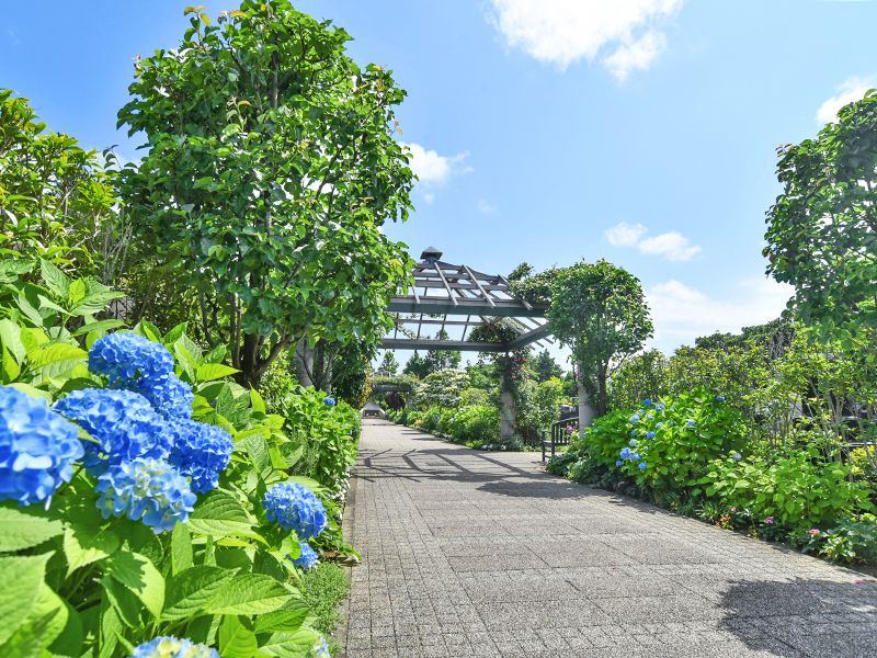 海老名フォーシーズンメモリアル