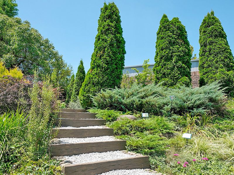 川越フォーシーズンメモリアル