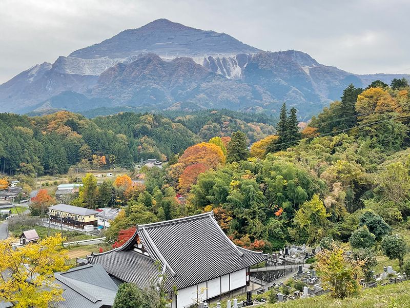 秩父 よこぜの郷 東林寺 永代樹木葬