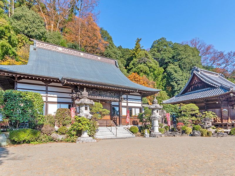 寺院建物と庭