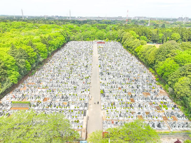 全景写真：緑に囲まれとても空気がきれいです。春には桜がきれいに咲きます。