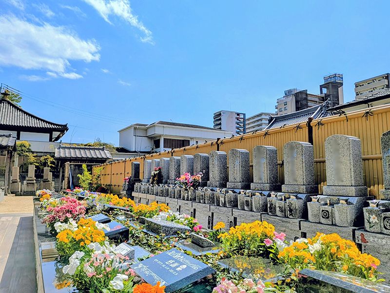 宗慶寺 永代供養墓・ガーデニング樹木葬・一般墓