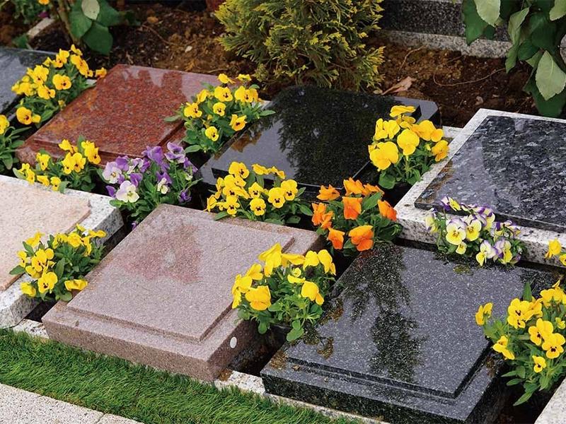 野田ほたるローズガーデン