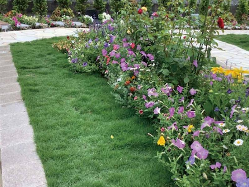 野田ほたるローズガーデン