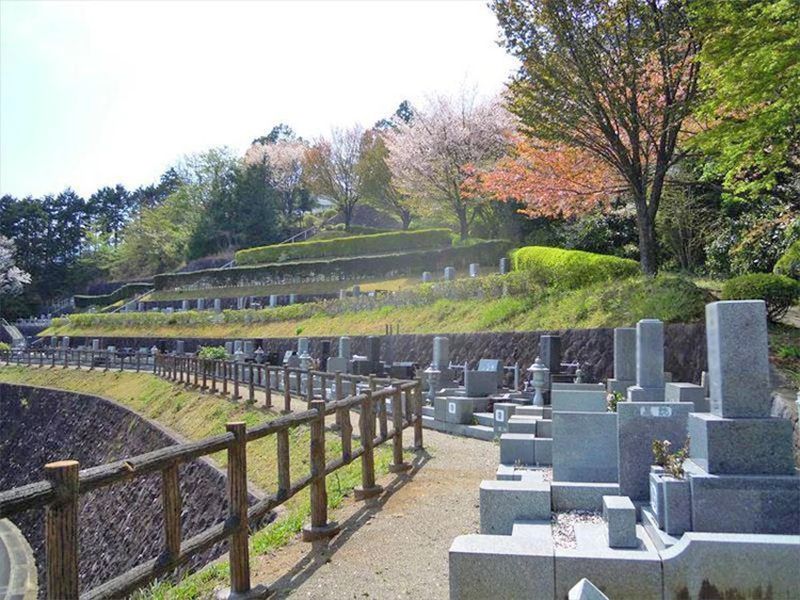 日当たり良好です