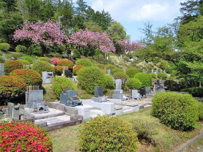 春には桜が咲き誇ります