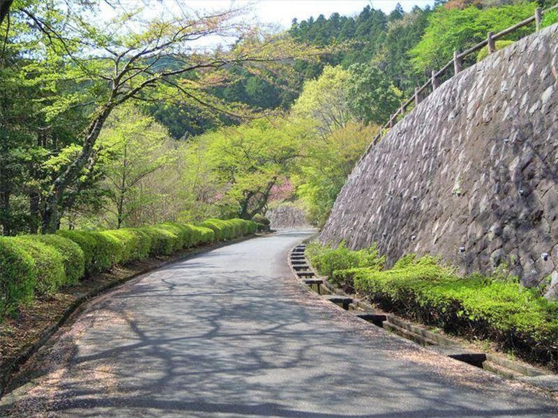 園内道路　緑に囲まれ景観を楽しみながら移動できます
