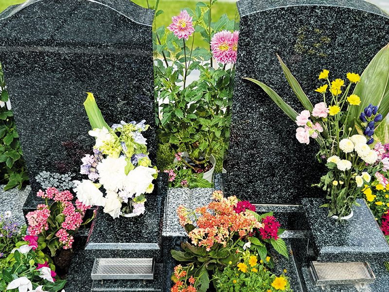 寶乘寺霊園 おもひでの径