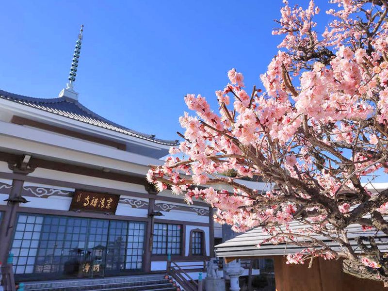 宗清寺本堂
