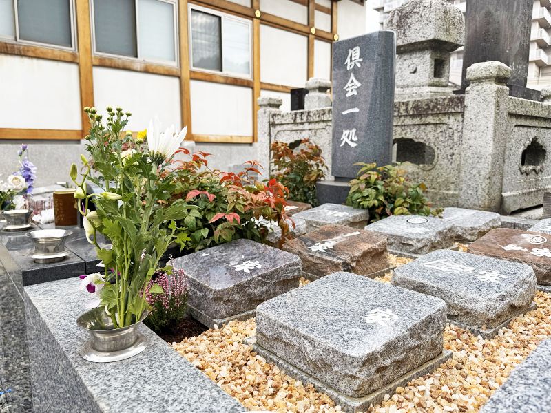 浄圓寺「プレミアム古河駅前樹木葬墓地」