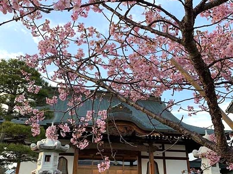 冨春院