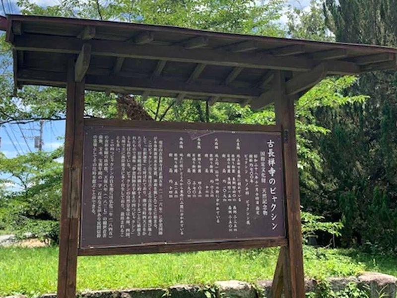 瑞雲山 古長禅寺