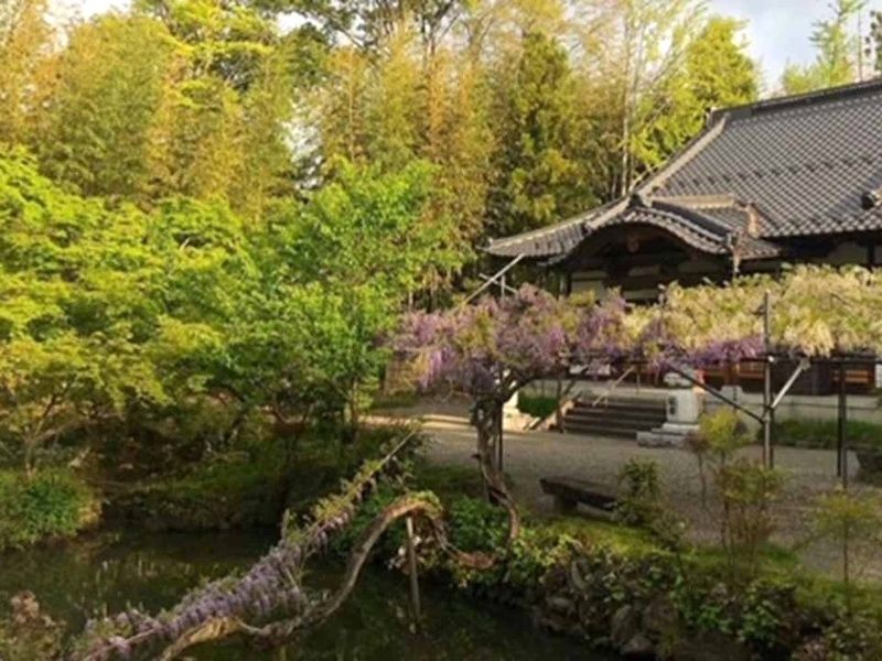 瑞雲山 古長禅寺