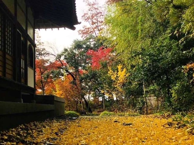 瑞雲山 古長禅寺