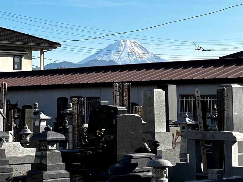 延命山 宝泉院