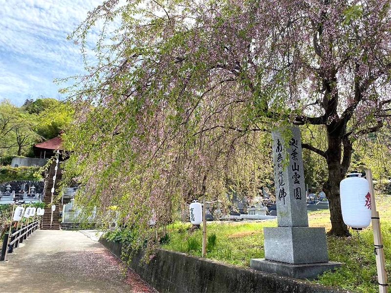 敬泉寺墓苑