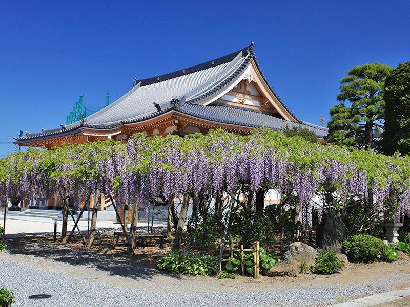 普門寺「桔梗の郷」家族墓