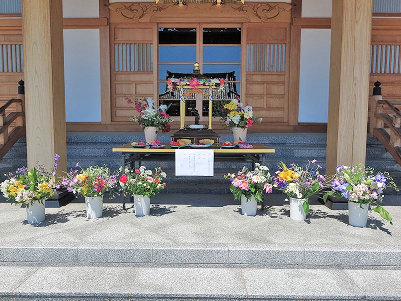 普門寺「桔梗の郷」家族墓