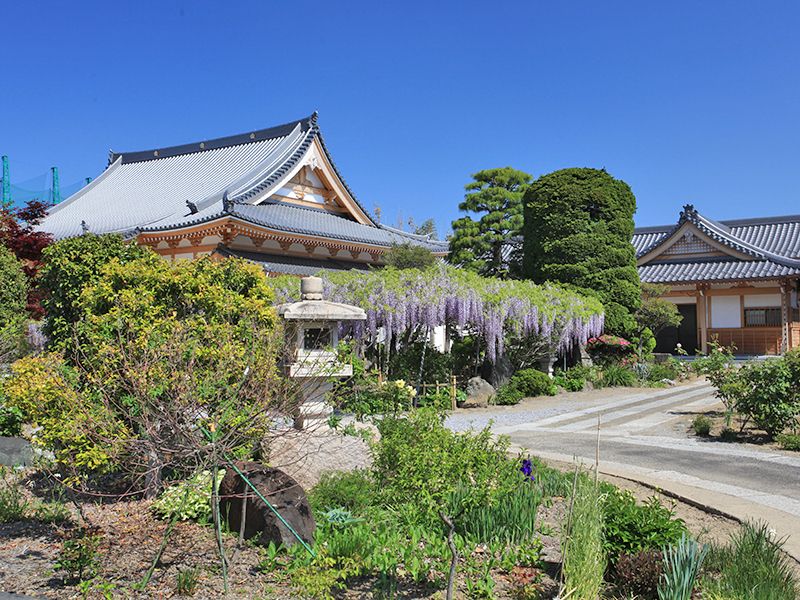 普門寺「桔梗の郷」家族墓