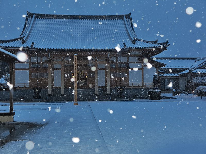 普門寺「桔梗の郷」家族墓